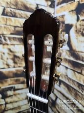 New World Guitar ニューワールドギター 2023年製 Player Series P640C FS 杉・ローズウッド 640mm_5
