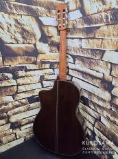New World Guitar ニューワールドギター 2023年製 Player Series P640C FS 杉・ローズウッド 640mm_6
