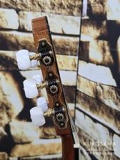 New World Guitar ニューワールドギター 2023年製 Player Series P640C FS 杉・ローズウッド 640mm_8