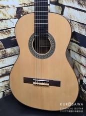 Antonio Sanchez [アントニオ・サンチェス] 2019年製 Profesor-1S 630mm 松・ローズウッド ショートスケール_2