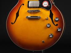 Seventy Seven Guitars EXRUBATO-STD-JT ITB ~Iced Tea Burst~_6