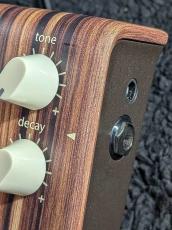 L.R.Baggs 【チョイキズ特価】ALIGN SERIES REVERB | アコースティックギター用リバーブ 【オンラインストア限定】_2