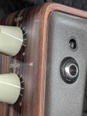 L.R.Baggs 【チョイキズ特価】ALIGN SERIES REVERB | アコースティックギター用リバーブ 【オンラインストア限定】_3