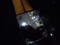 Bill Lawrence EX-Light_11
