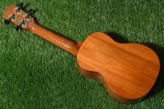 DCT DUS-300M Soprano_4