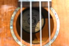 DCT DUS-300M Soprano_15