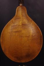 Gibson A Jr Mandolin_3