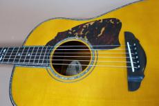 Terry's Terry Terry's Premium PTJ-100GM /　Premium German Spruce Top・Premium　Madagascar Rosewood Side and Back・Head and Body　Abalone Trim and Rosette・Genuine Tortoise Pick-guard・Honduras Mahogany Neck【With Original _12