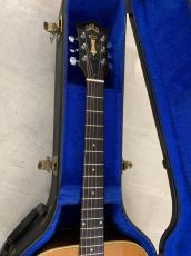 Guild D-44M NAT メイプル単板 サイド/バック!Westerly工場製_4