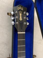 Guild D-44M NAT メイプル単板 サイド/バック!Westerly工場製_5