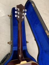 Guild D-44M NAT メイプル単板 サイド/バック!Westerly工場製_9
