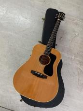 Guild D-44M NAT メイプル単板 サイド/バック!Westerly工場製_14
