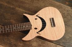 Cheezyukulele Concert "Cheezy325" 