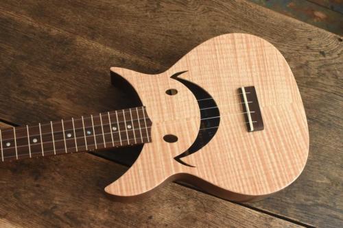 Cheezyukulele Concert "Cheezy325" 