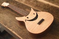 Cheezyukulele Concert "Cheezy325" _4
