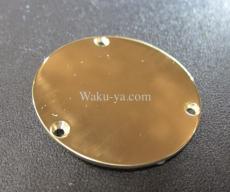 Gibson "Brass" Back Panel Plate Set . for Les Paul / Randy Rhoads _2