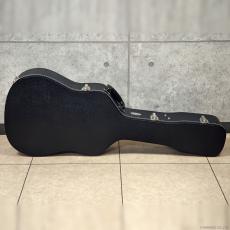 Martin ドレッドノート用ハードケース