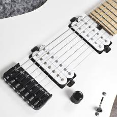 SAITO GUITARS S-722_3