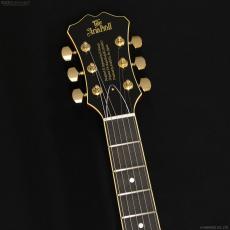 Aria Pro II TA-TONIC AMB [Amber]_5