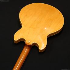 Aria Pro II TA-TONIC AMB [Amber]_7