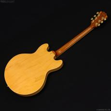 Aria Pro II TA-TONIC AMB [Amber]_8