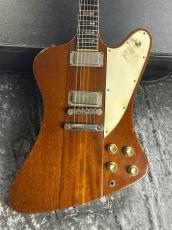 Gibson 【リフィニッシュ】1964 Firebird V Natural Refinish_2