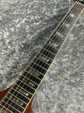 Gibson 【リフィニッシュ】1964 Firebird V Natural Refinish_4