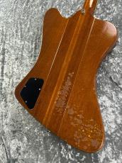 Gibson 【リフィニッシュ】1964 Firebird V Natural Refinish_6