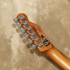 Charvel Pro-Mod So-Cal Style 2 24 HH 2PT CM, Natural Ash_5