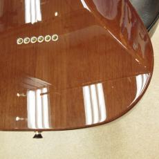 Squier Hybrid II Telecaster_8