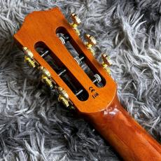 Bromo Guitars BEN2C 3TS (3 Tone Sunburst) 【アウトレット特価】【エレガット】_7