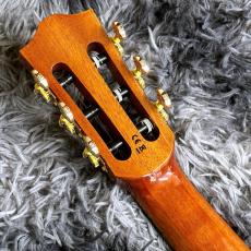 Bromo Guitars BEN2C TBK (Trans Black) 【アウトレット特価】【エレガット】_7