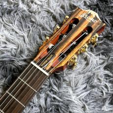 Bromo Guitars BEN2C NAT (Natural) 【アウトレット特価】【エレガット】_6