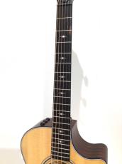 Taylor 312ce_4