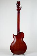 Aria Pro II PE-1500RI SBR -Stained Brown-_4