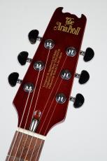 Aria Pro II PE-1500RI SBR -Stained Brown-_6