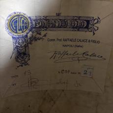CALACE 2021/No.13/S/R【USED】_11