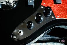 Lakland Skyline Japan Series SK-460/R Hinatch_5