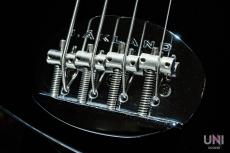 Lakland Skyline Japan Series SK-460/R Hinatch_7