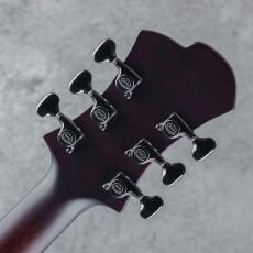 Victor Baker Guitars Model 15 Archtop 1 Pickup Broun Sunburst with satin topcoat S/N:757_8