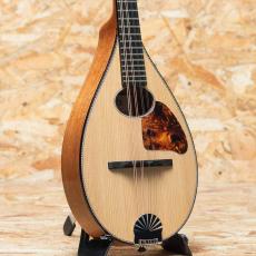 Iwashita Mandolins tote dmh 2022