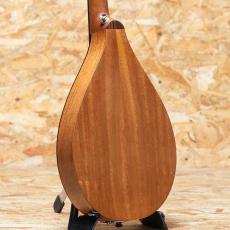 Iwashita Mandolins tote dmh 2022_2