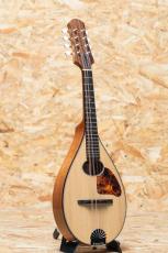 Iwashita Mandolins tote dmh 2022_3
