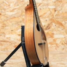 Iwashita Mandolins tote dmh 2022_4