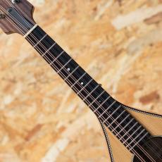 Iwashita Mandolins tote dmh 2022_6