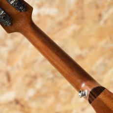 Iwashita Mandolins tote dmh 2022_7