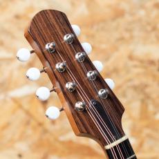 Iwashita Mandolins tote dmh 2022_8