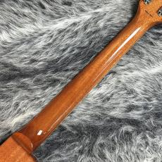 Tokai LS-101F LD_7