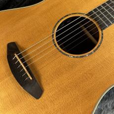 Breedlove Premier Dreadnought Natural【Autumn Sale!!】_3
