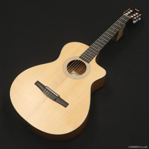 Taylor 112ce-N